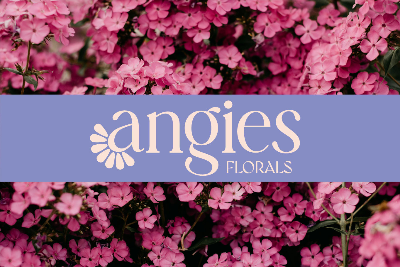 Angies florals logo on a blue with pink flower background